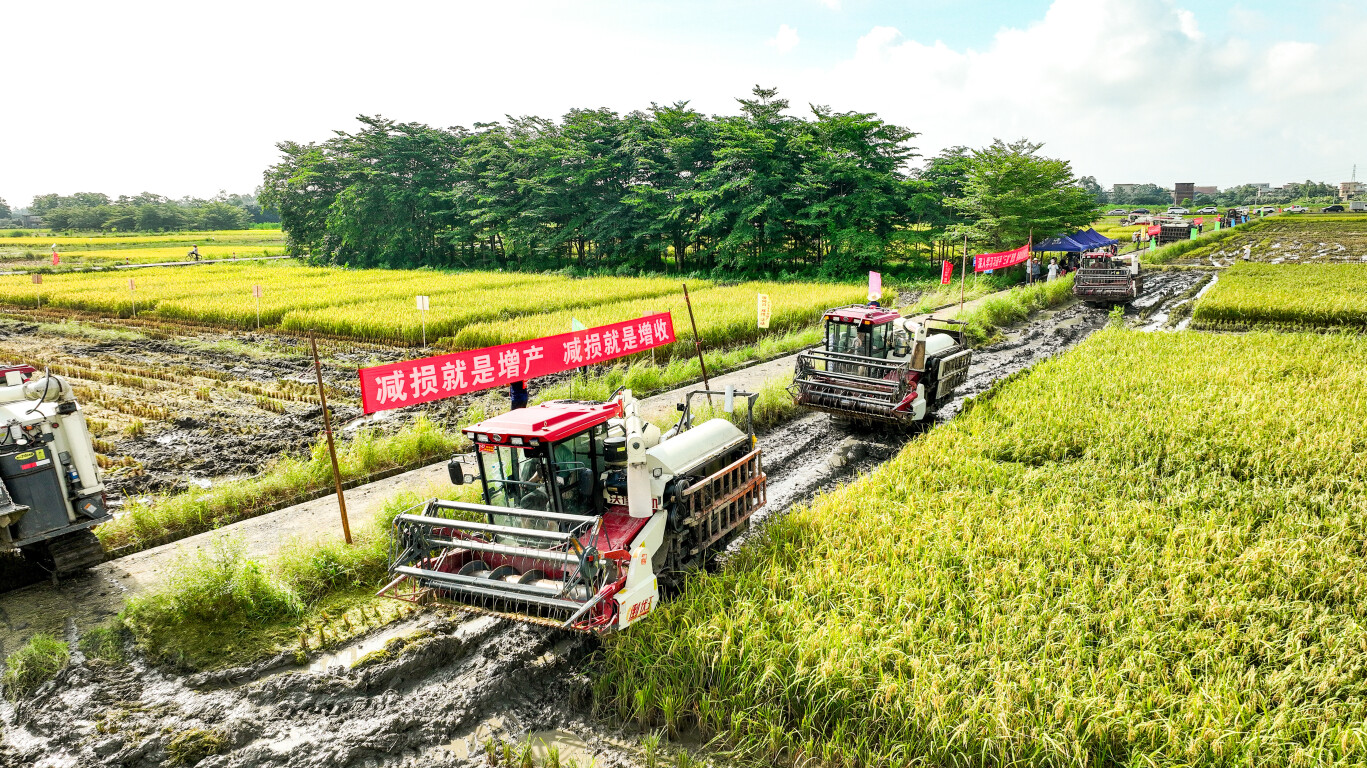 圖集 | 農(nóng)機轟鳴 南粵夏收