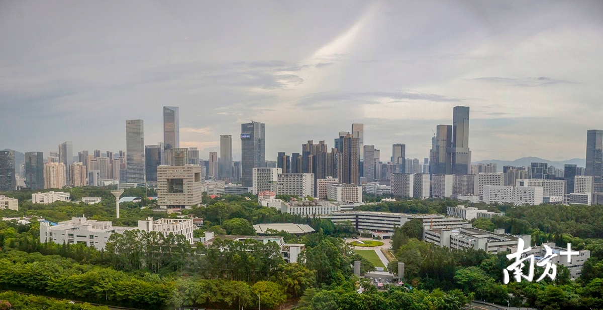 目前的深圳大学一带 目前的深圳大学一带