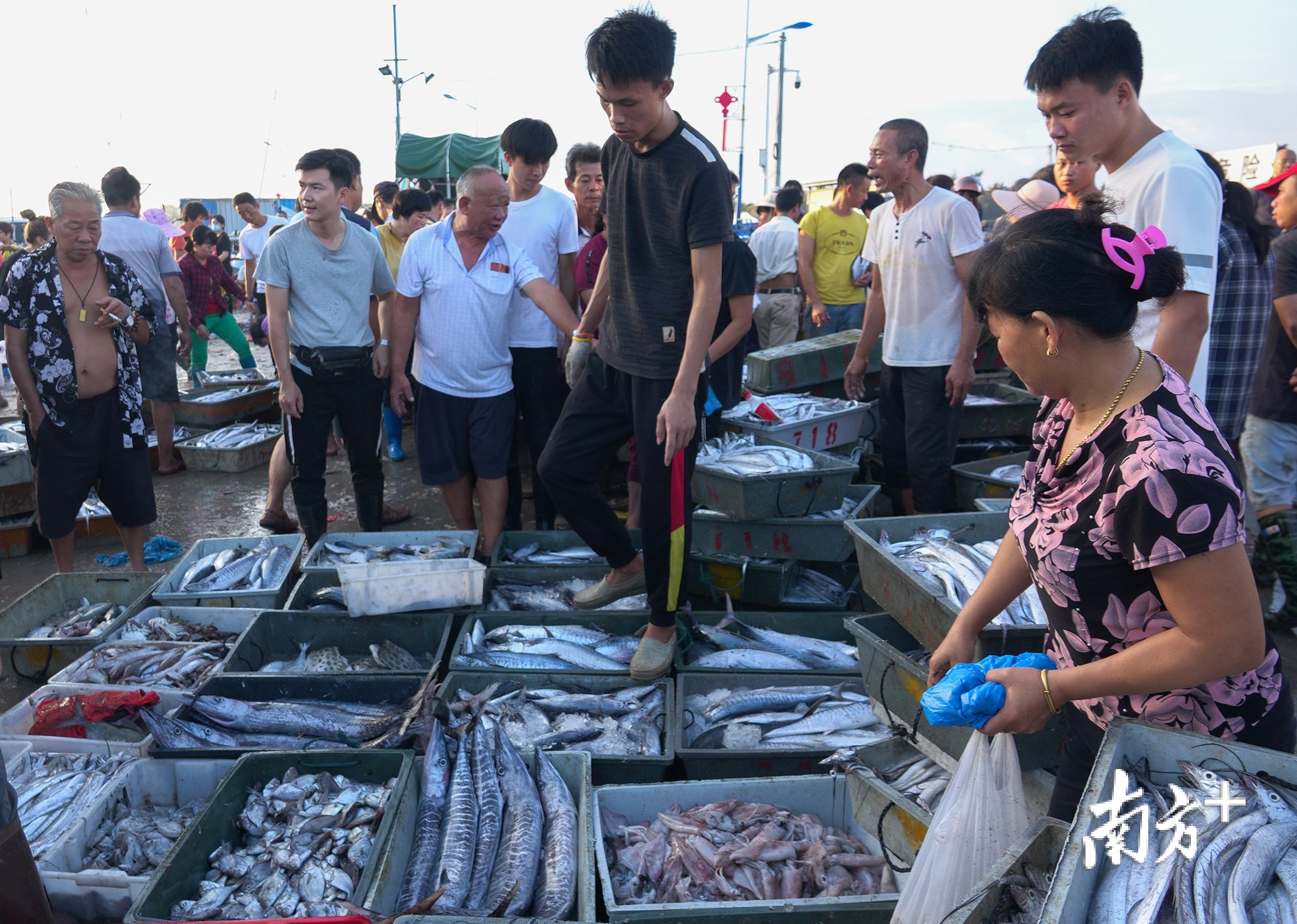 [图]中国黄海·黄沙港开渔节隆重开幕