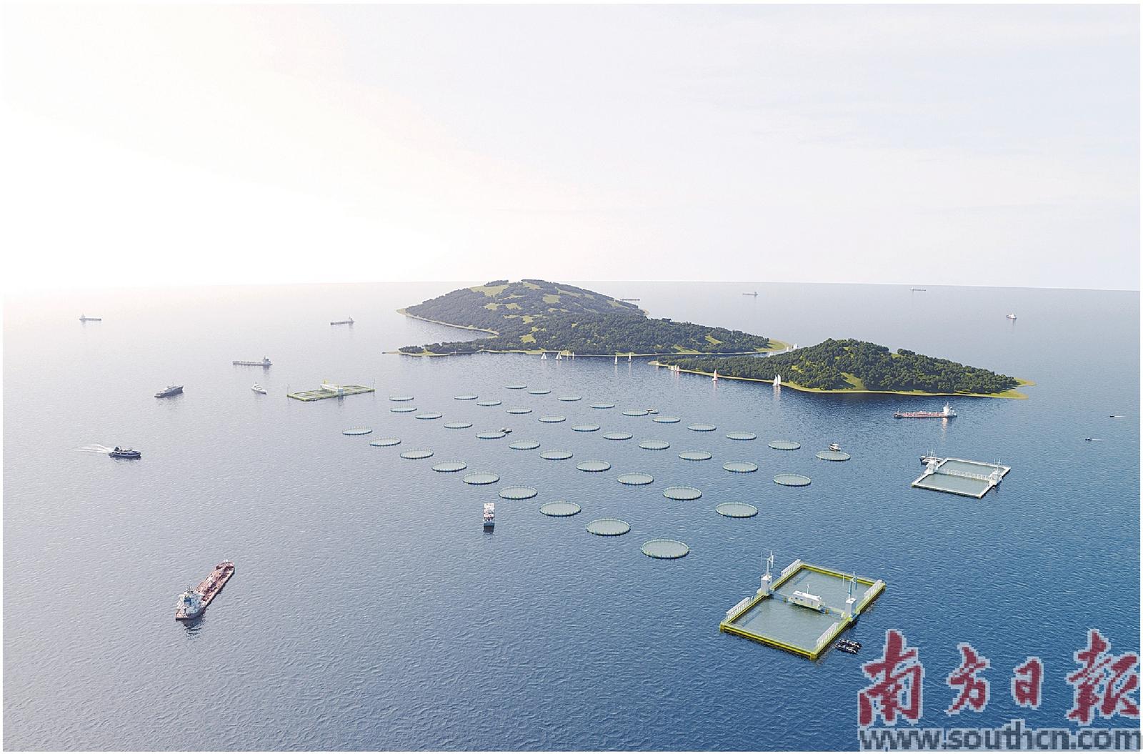 珠海首个现代化海洋牧场产业园动工 打造“珠海造”新名片