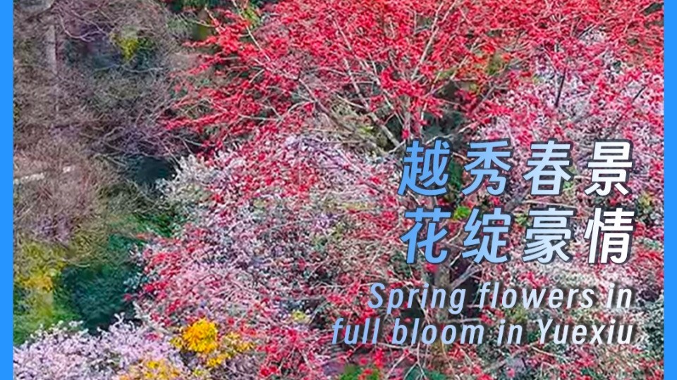 ​Spring flowers in full bloom in Yuexiu, Guangzhou