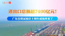 进出口总额超7400亿元!广东自贸试验区十周年成绩单来了 进出口总额超7400亿元!广东自贸试验区十周年成绩单来了