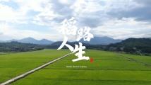 用影像讲述湾区故事!“GREAT湾区青年影视训练营”6部短片来了 用影像讲述湾区故事!“GREAT湾区青年影视训练营”6部短片来了