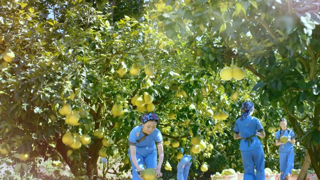 梅州市委副书记、市长王晖：坚持从“过日子思维”转向“发展思维”