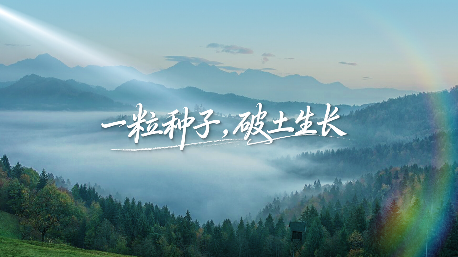 ​国企担当·“百千万工程”之岭南答卷｜“透析室”开到家门口，让患者告别奔波之苦