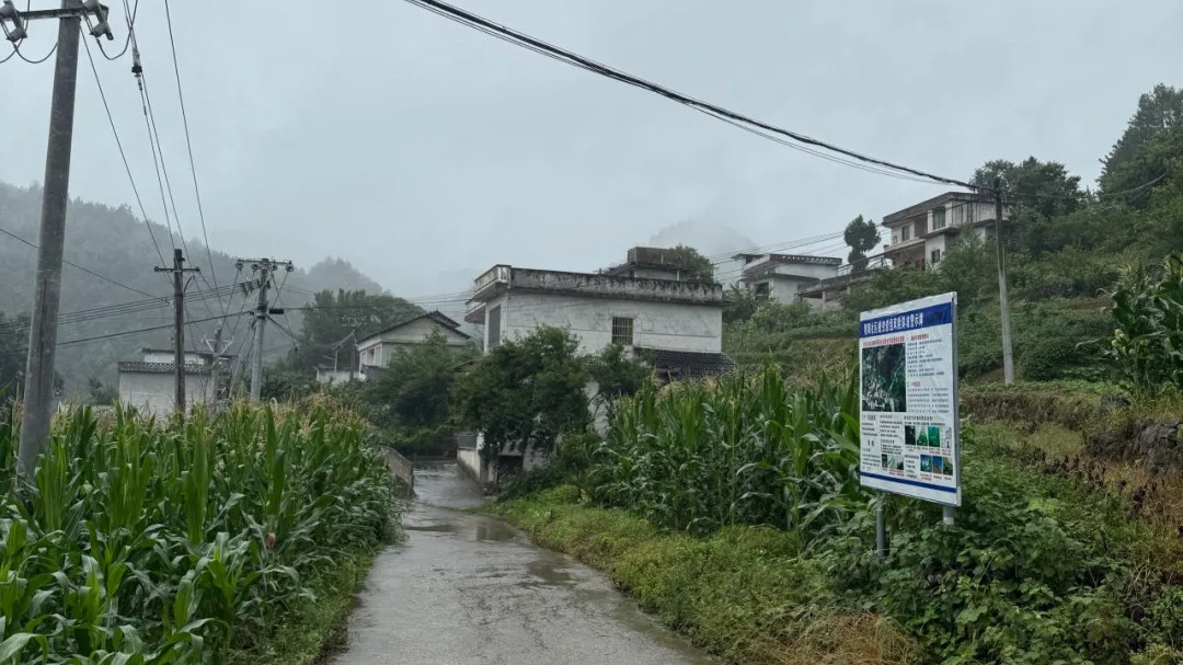 “接警不出警”被立案审查，离婚冷静期毒杀儿女案再生波澜