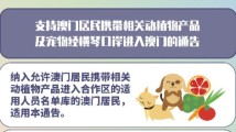 琴澳多面睇|猫狗可以办签注!澳门居民可携宠物便利往返琴澳 琴澳多面睇|猫狗可以办签注!澳门居民可携宠物便利往返琴澳