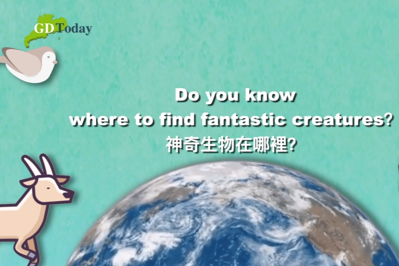 International Day for Biological Diversity | Fantastic creatures to find in Guangdong