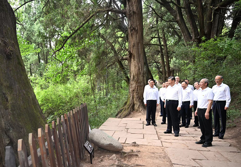 2023年4月25日，习近平总书记在四川省广元市剑阁县翠云廊考察。