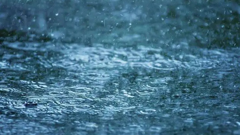 防汛关键期来了，请收下这份暴雨天气出行指南