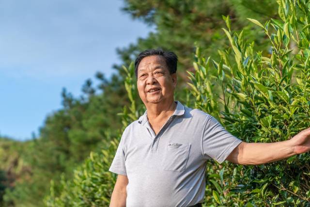 杜坤发在500亩茶山。