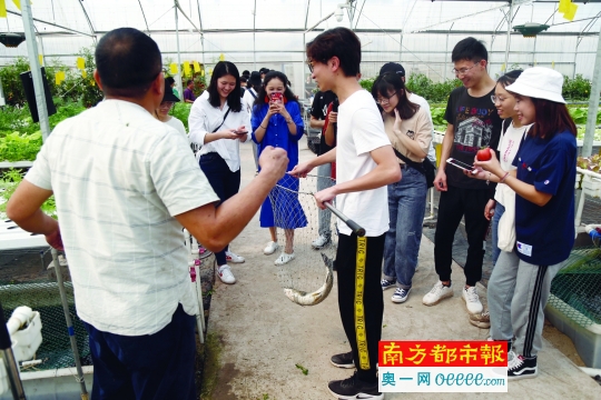 揭秘华农最受学生欢迎的农事训练课：捞鱼捉泥鳅还可探秘植物工厂_南方网