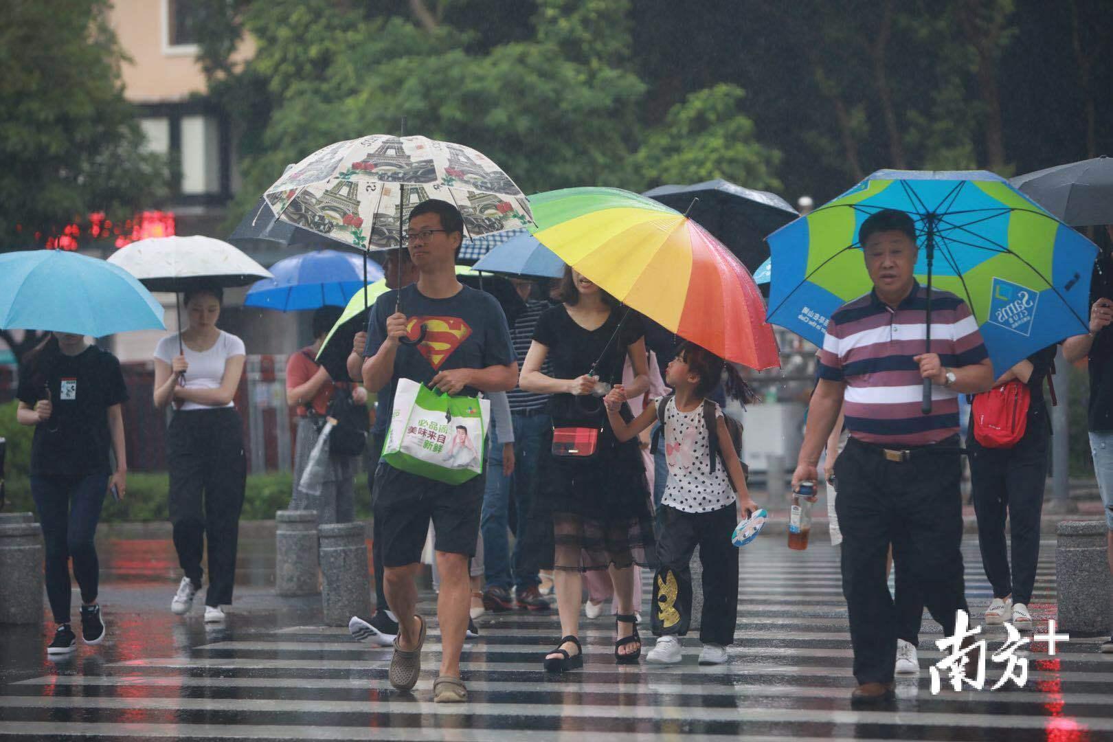 深圳莲花路，雨中的行人步履匆匆。朱洪波 摄
