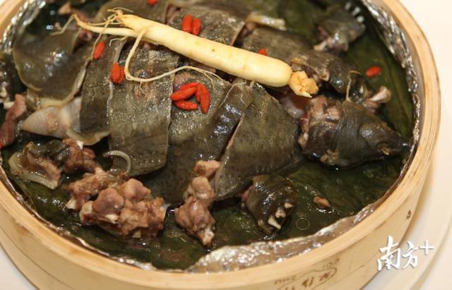传统粤菜荷香蒸水鱼。南方日报记者 符超军 摄