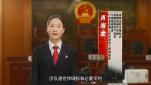 全国优秀共产党员肖海棠：为世界知识产权司法保护贡献中国智慧！