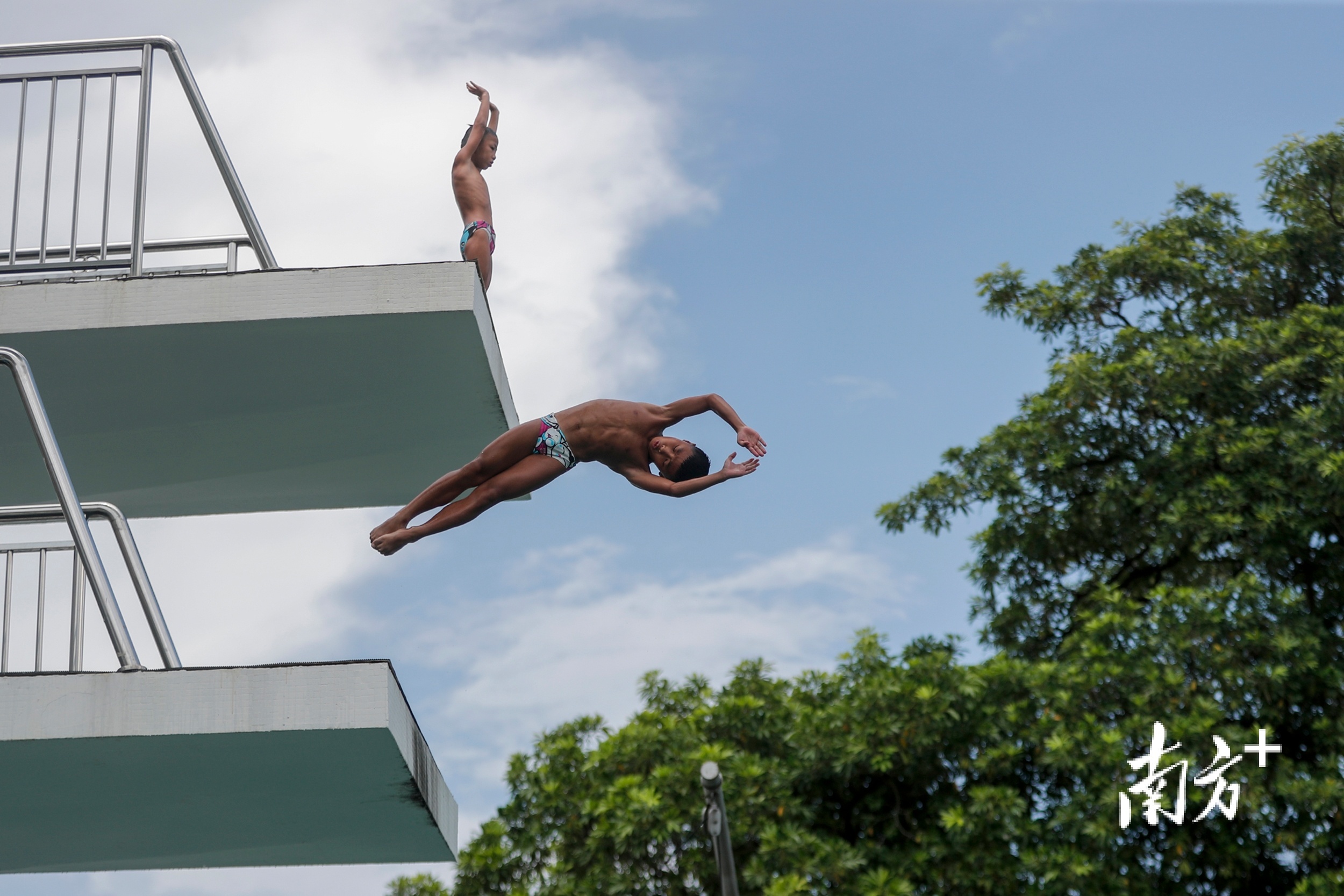 东京奥运跳水台图片