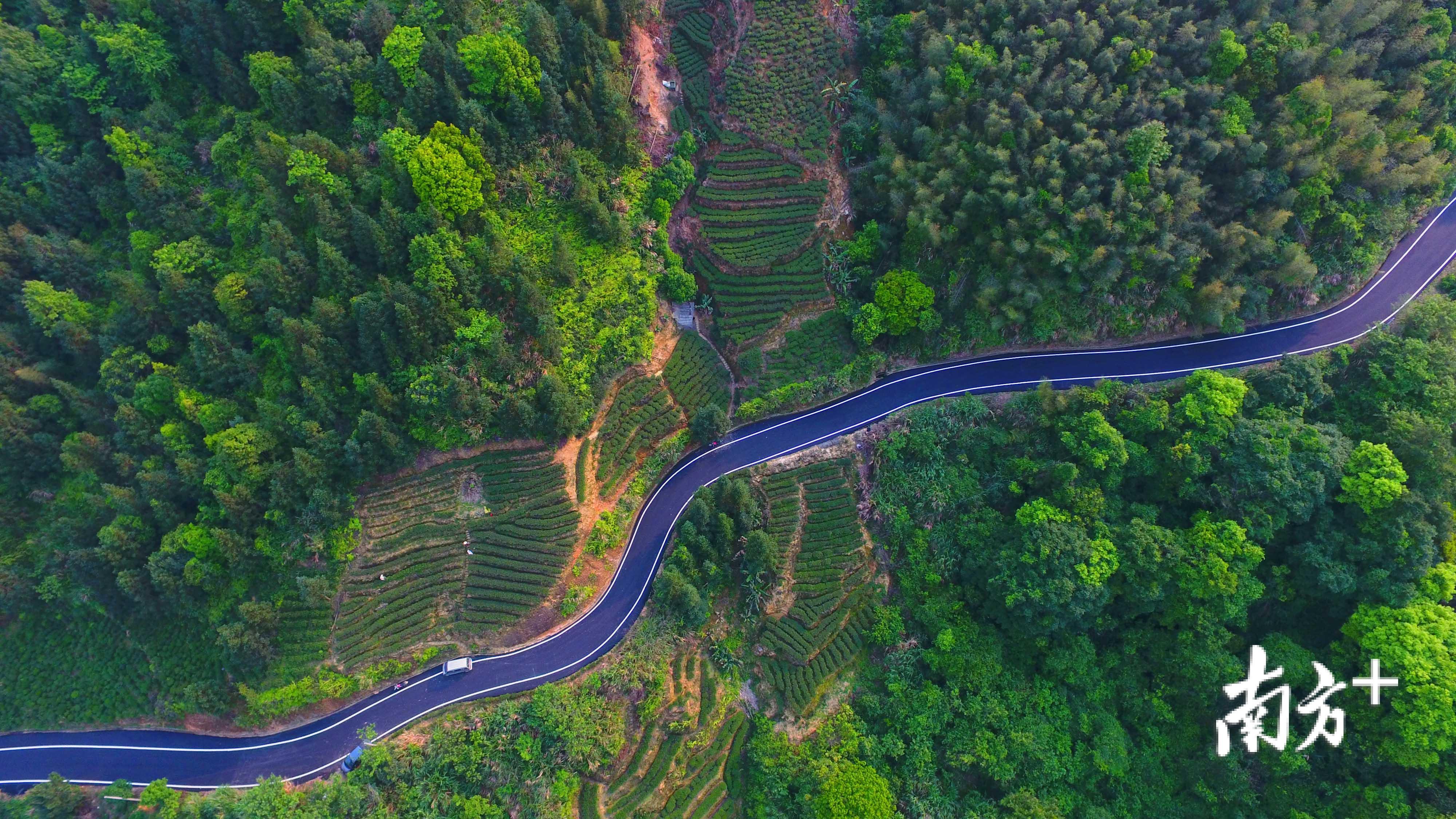 马图村崭新的公路。