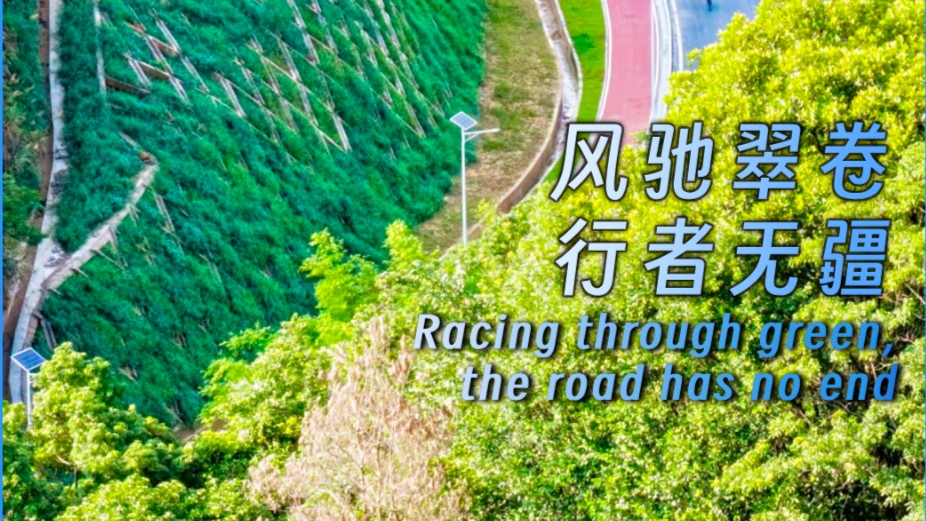 Racing through green, the road has no end