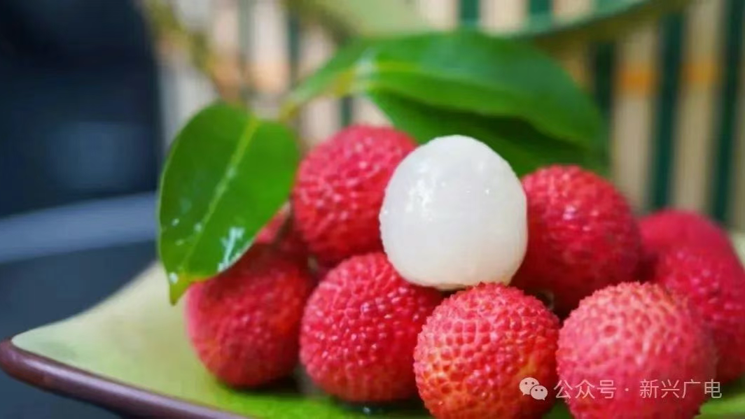 Yunfu's Xinxing Aroma Lychee hits the market!