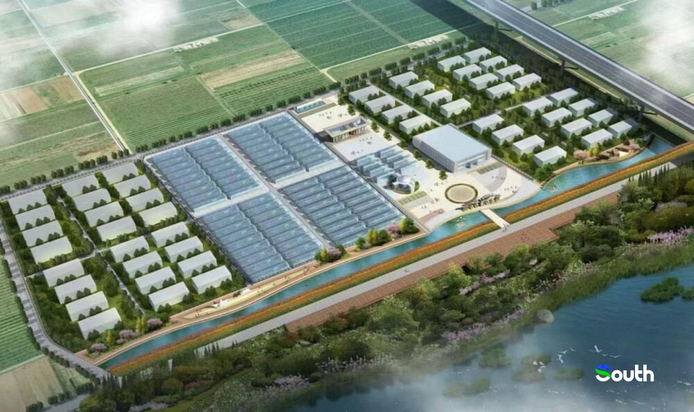   通讯员  陈温馨 张蒙娇 供图
