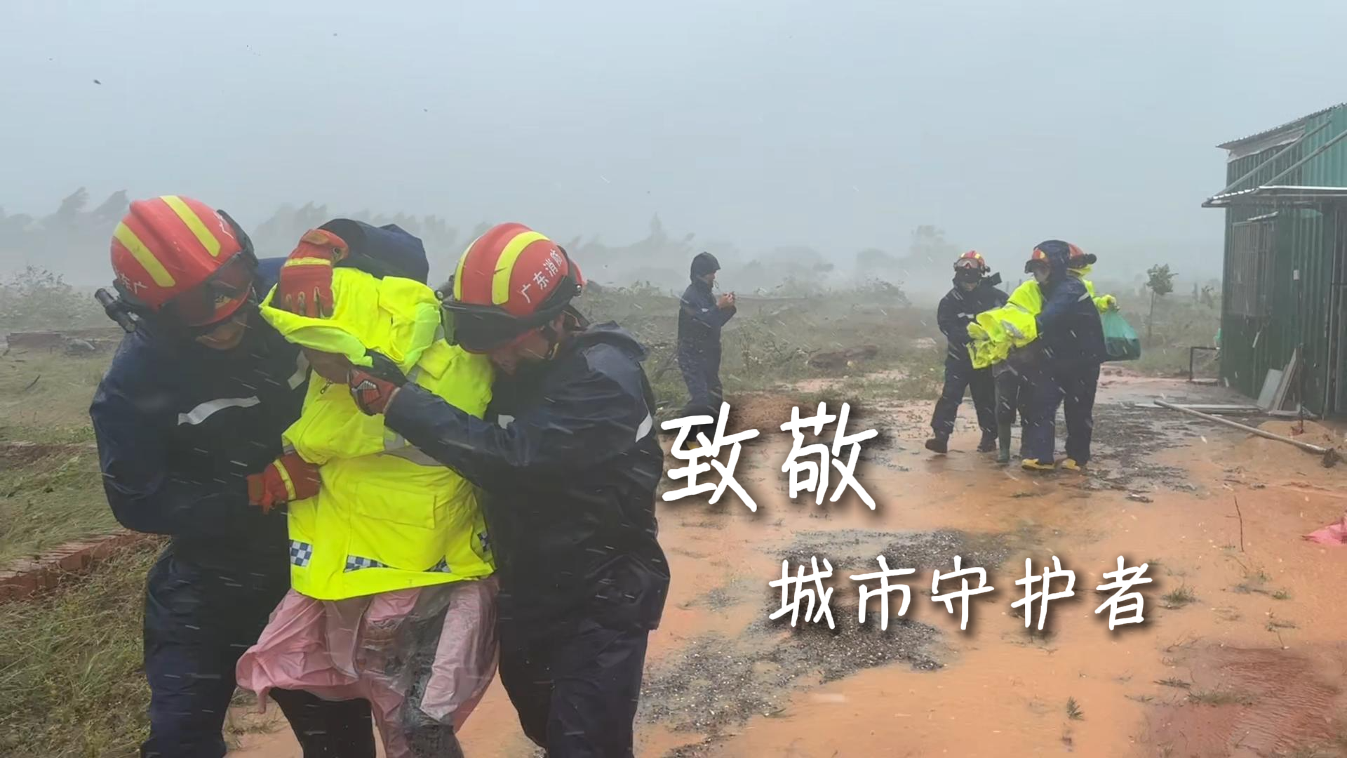 14级台风登陆，他们筑起一道生命防线