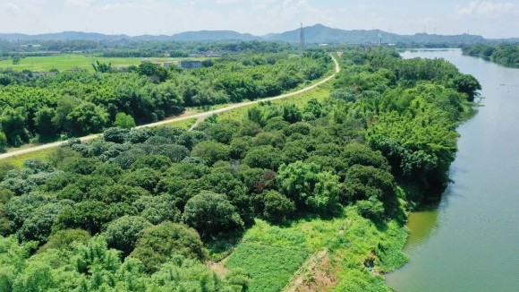 这些电影打卡地太出片