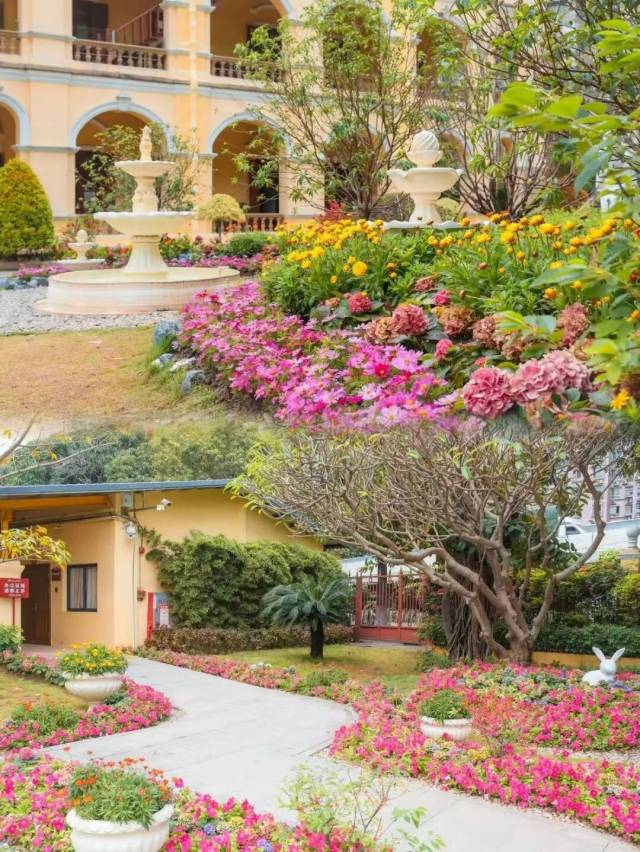 图源/孙中山大元帅府纪念馆小红书 图源/孙中山大元帅府纪念馆小红书