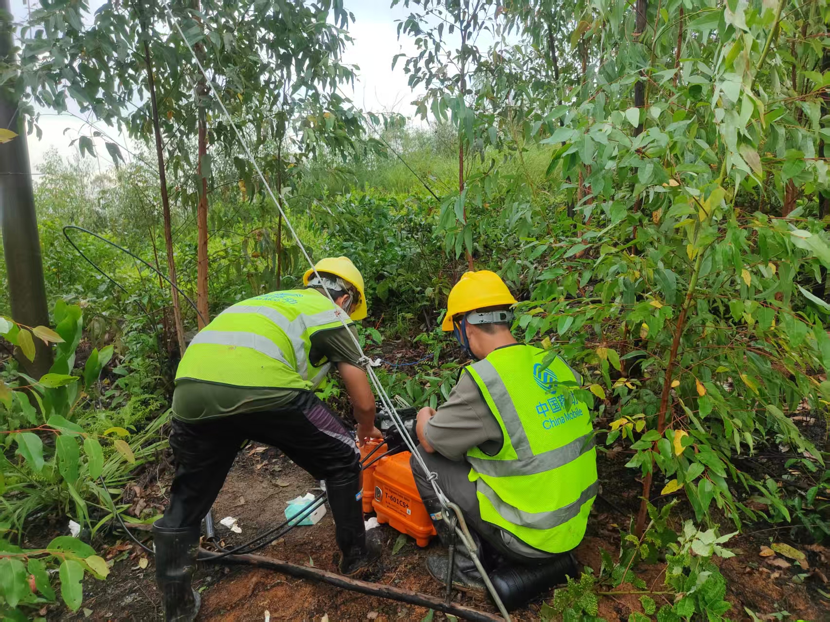 面对飓风“ Medham”，中国移动广东公司正在建立