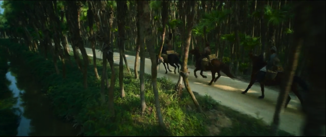 这些电影非常擅长入住。