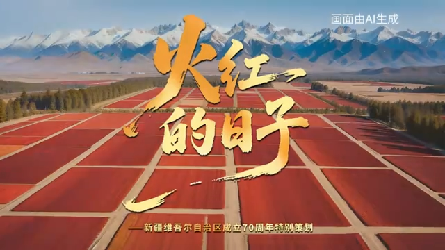 追光的你｜火红的日子