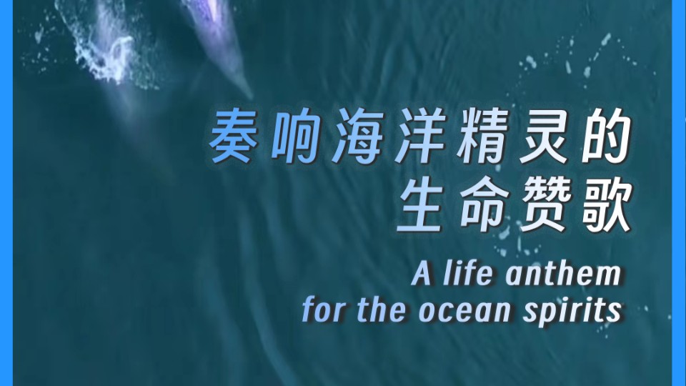 A life anthem for the ocean spirits