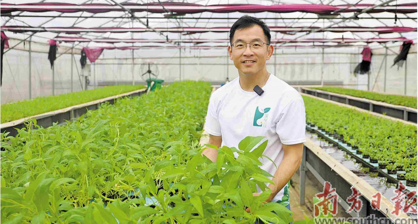 澳门青年孙振鸿在“濠机荟”种植基地查看蔬菜种植情况。南方日报记者 关铭荣 摄 