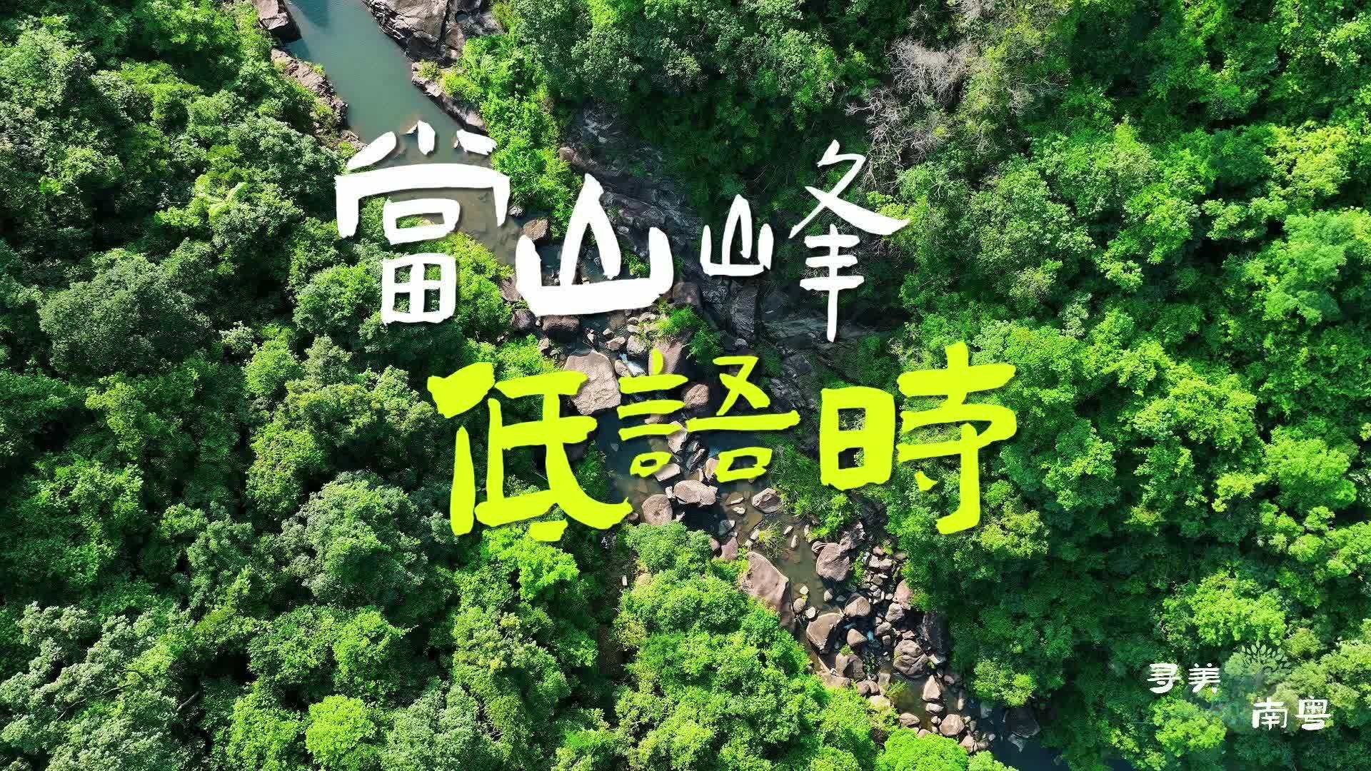 在广东绿美保护地，人与自然彼此治愈
