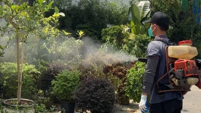 最新提醒！广州11区这些街道存在蚊媒传染病传播风险