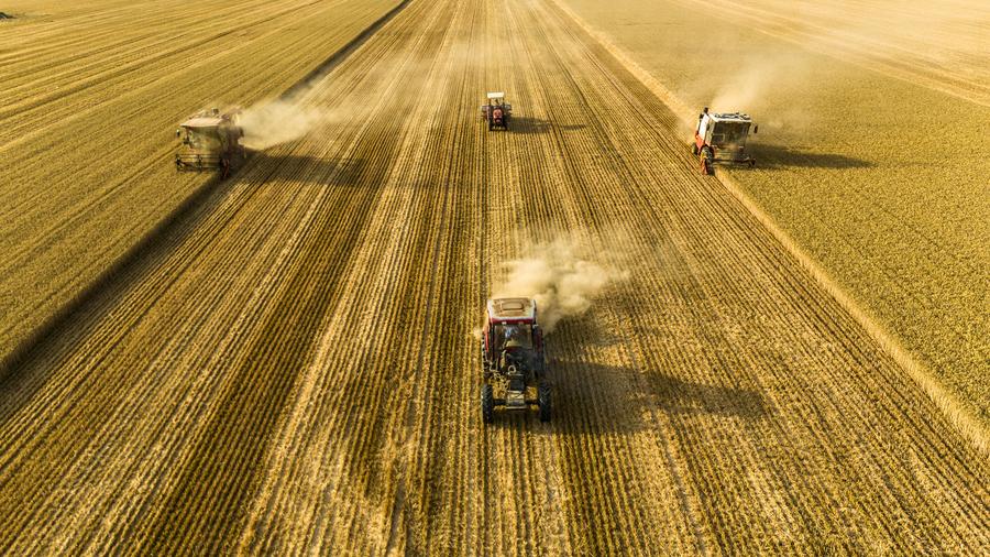 Xi Focus: How Xi leads China to feed itself
