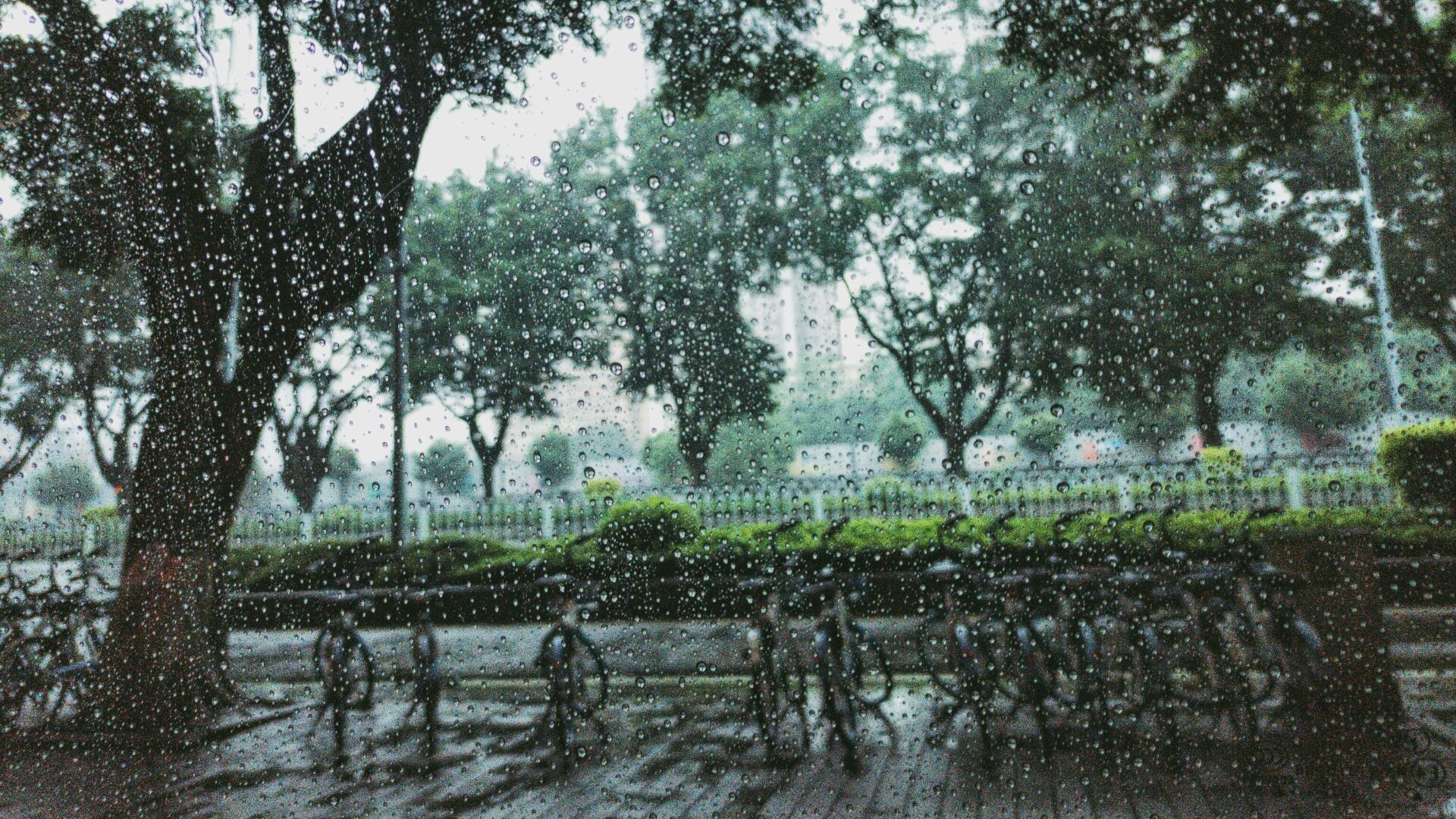 A letter to all residents in Guangzhou