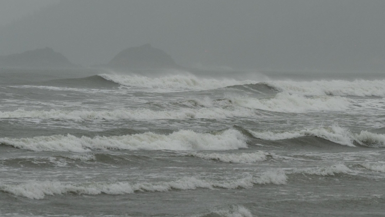 广东发布防御台风“桦加沙”紧急动员令