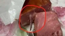 火腿疑似吃出老鼠尾巴 生产方发声明 火腿疑似吃出老鼠尾巴 生产方发声明