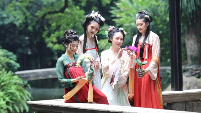 Sihui orchid cultural week underway in Guangzhou