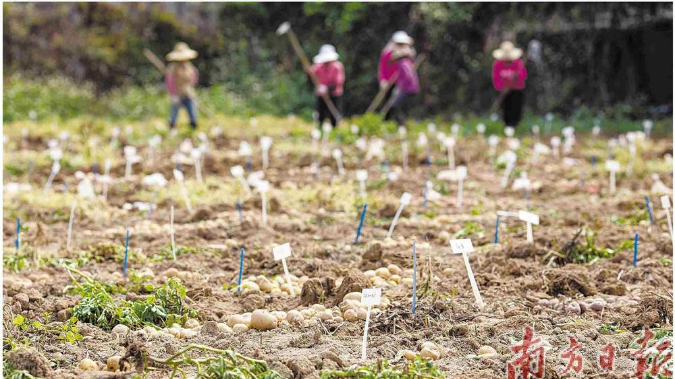 专家解读2023年中央一号文件：广东乡村振兴大有可为