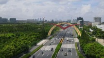 “头雁”引领,自贸试验区“雁阵”齐飞绘新景 “头雁”引领,自贸试验区“雁阵”齐飞绘新景