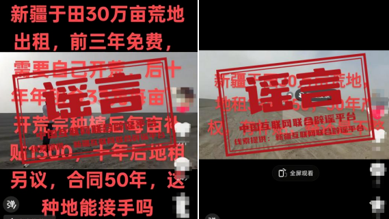 今日辟谣（2025年10月17日）