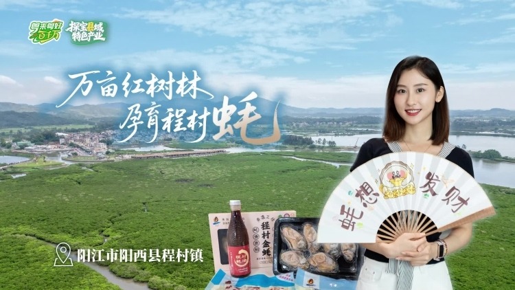 来阳江程村镇共赴一场“蚝”门盛宴｜粤来粤好百千万