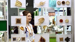 Over 800 enterprises! The 7th CIIE to see greater global participation