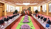 习近平会见埃及总理马德布利 习近平会见埃及总理马德布利