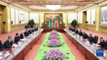 习近平会见土库曼斯坦民族领袖、人民委员会主席别尔德穆哈梅多夫 习近平会见土库曼斯坦民族领袖、人民委员会主席别尔德穆哈梅多夫