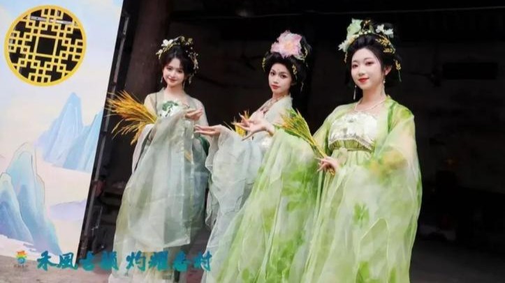 Foshan to host festival to celebrate rice harvest