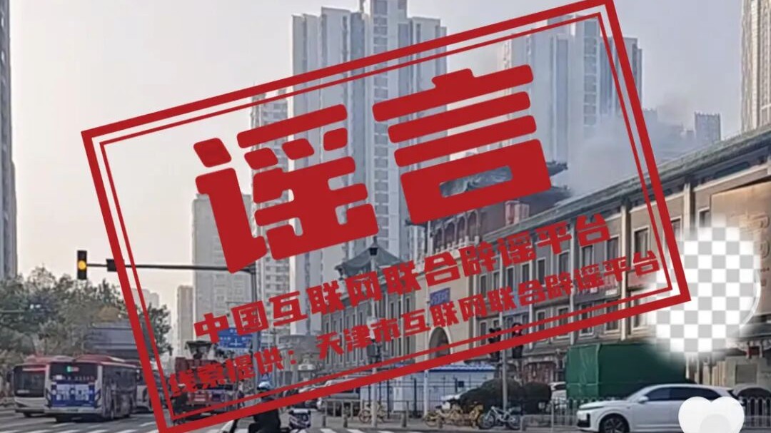 今日辟谣（2025年11月13日）