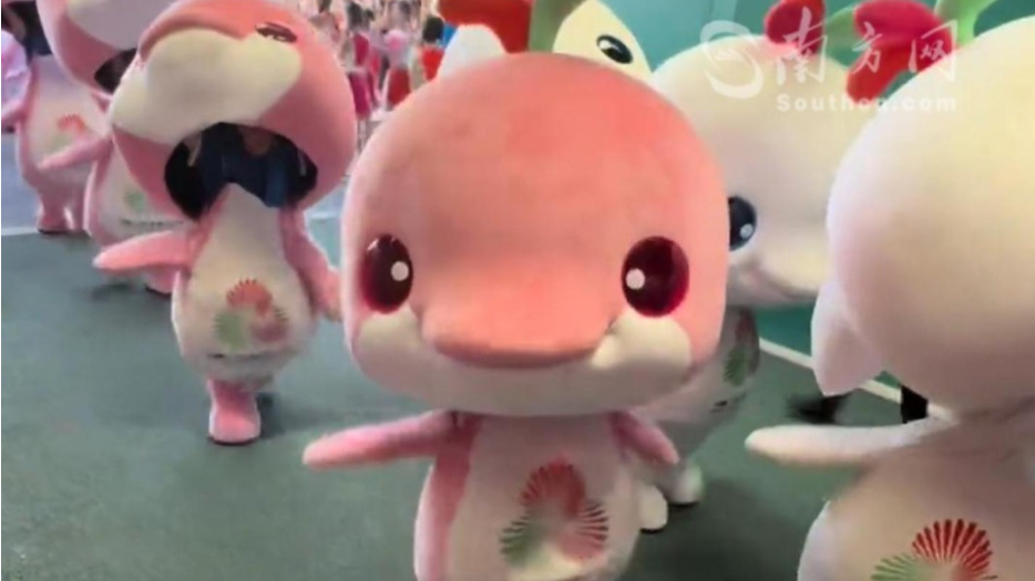 十五运会吉祥物扮演者是一群广东武术少年 网友：难怪那么活力四射