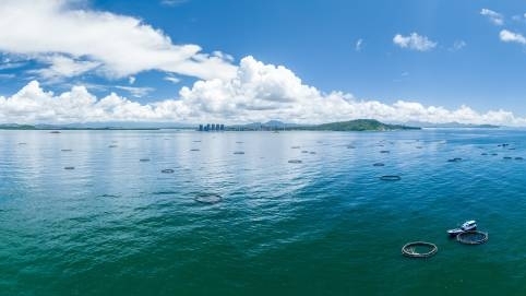 破解走向深蓝的融资痛点——来自广东的调查